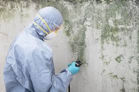 Best Mold Prevention Services  in New Concord, OH